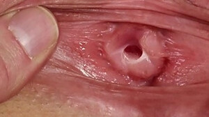 Jizzed AV Porn